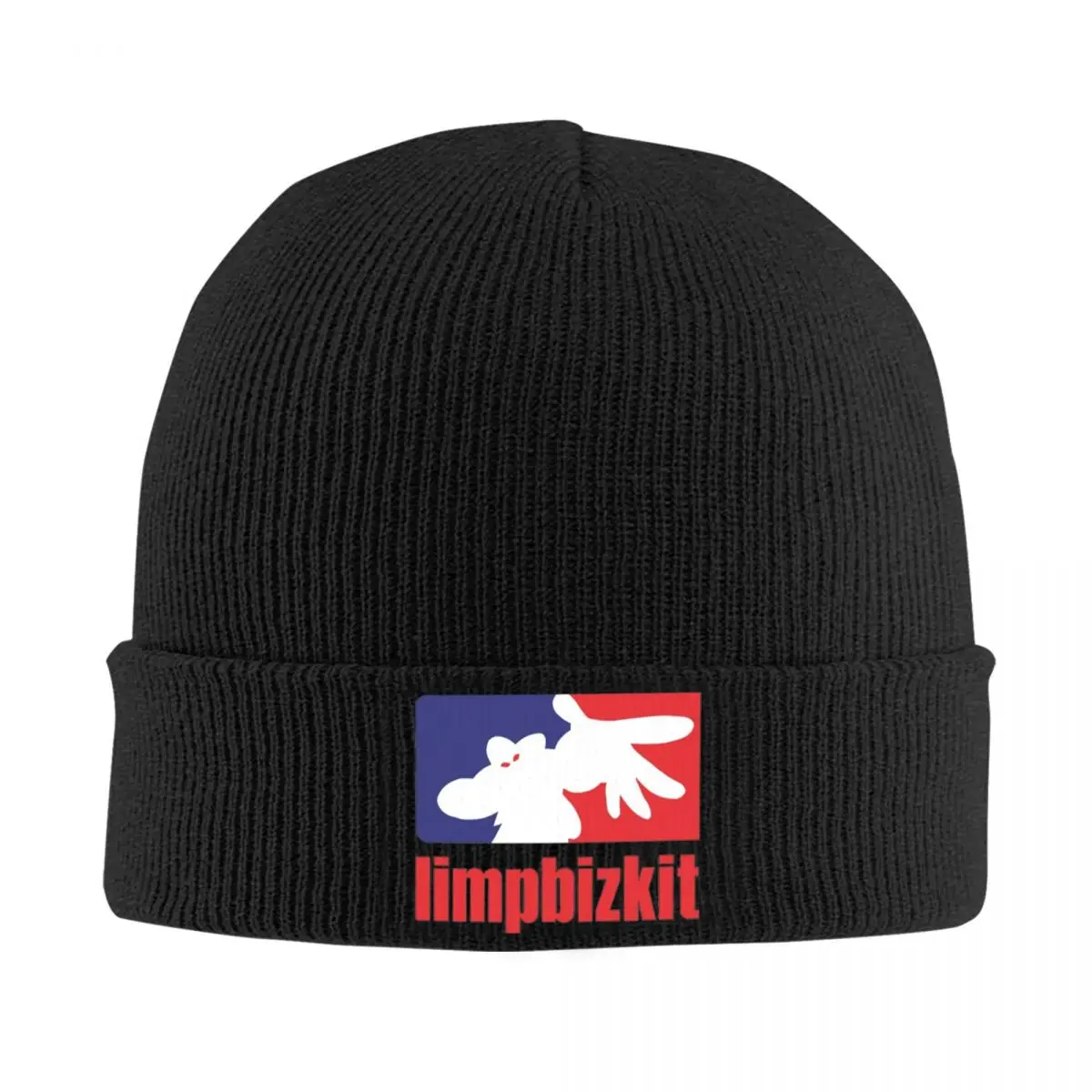 Limp Bizkit beanie Limp Bizkit Merch