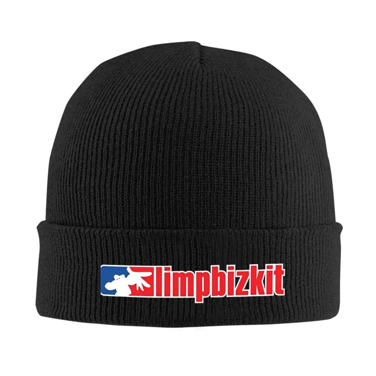 Limp Bizkit beanie Limp Bizkit Merch