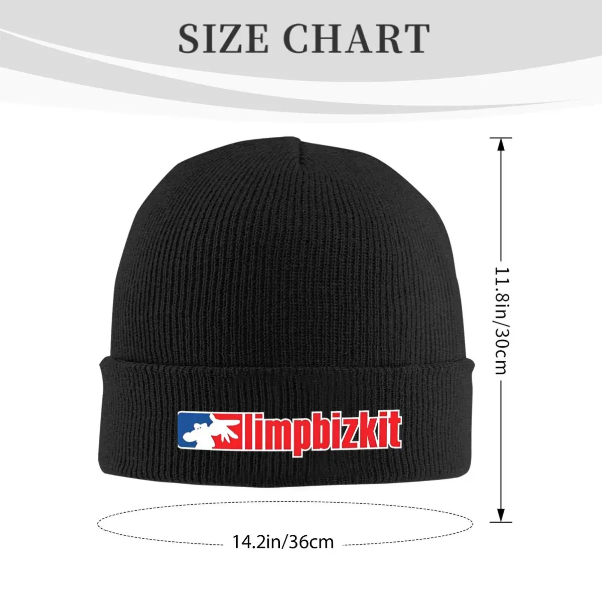 Limp Bizkit beanie Limp Bizkit Merch